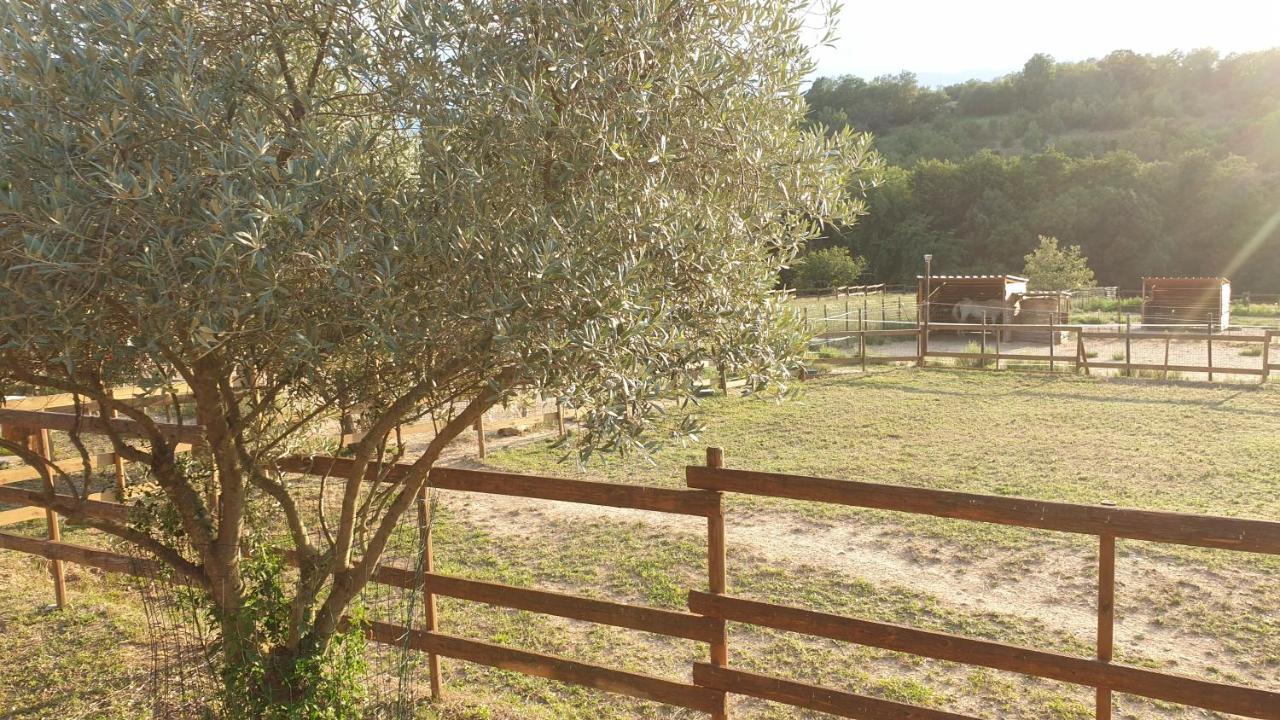 Chambre D'Hotes Le Petit Ranch Bed and Breakfast Los Masos Buitenkant foto