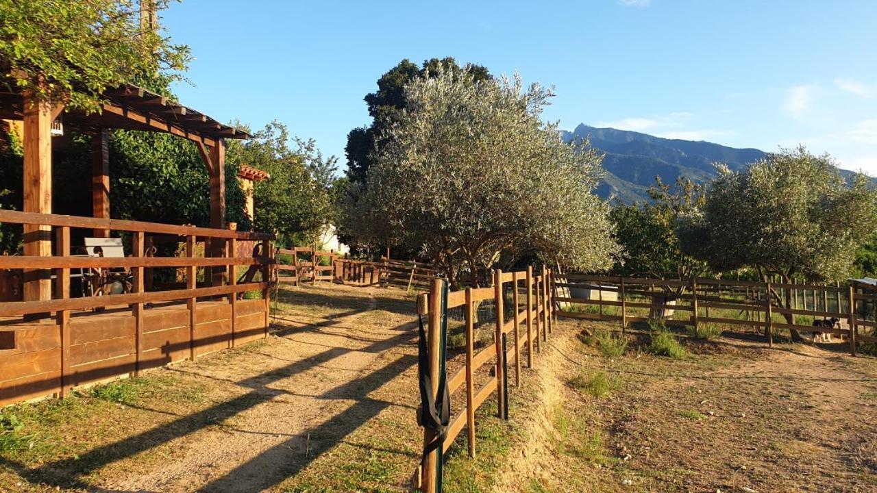 Chambre D'Hotes Le Petit Ranch Los Masos Buitenkant foto
