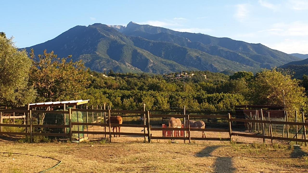 Chambre D'Hotes Le Petit Ranch Bed and Breakfast Los Masos Buitenkant foto