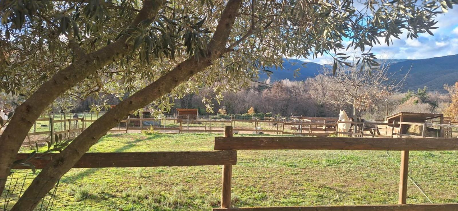 Chambre D'Hotes Le Petit Ranch Bed and Breakfast Los Masos Buitenkant foto